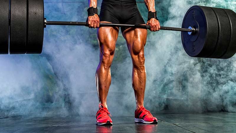 Bài tập compound: Khái niệm, lợi ích và những đại diện tiêu biểu 6