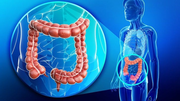 Bài thuốc nam trị viêm đại tràng từ những loại cây quen thuộc 2