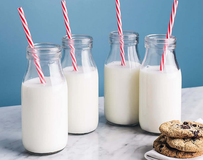 Bệnh Brucellosis: Những thông tin quan trọng cần biết 4