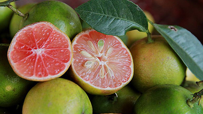 Các loại chanh có giá trị dinh dưỡng cao và tốt cho sức khỏe 3