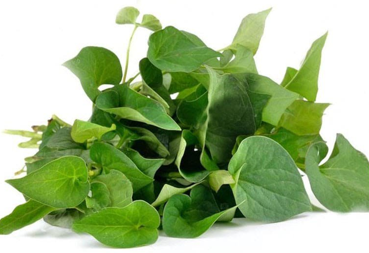 Cách chữa đau mắt đỏ đơn giản dễ thực hiện tại nhà 4