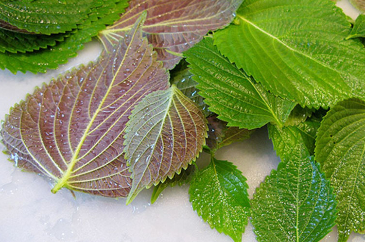 Cách chữa sôi bụng đầy hơi đơn giản mà hiệu quả tại nhà 2