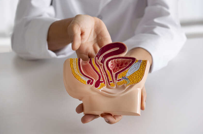 Dịch túi cùng là gì ? Nguyên nhân túi cùng có dịch và ý nghĩa của việc chẩn đoán 1