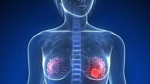 Giải đáp thắc mắc: “Liệu Nga Phụ Khang tốt hay Trinh Nữ Hoàng Cung?” 2