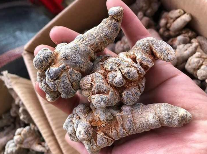 Giải đáp: Trào ngược dạ dày có uống được tam thất không? 1