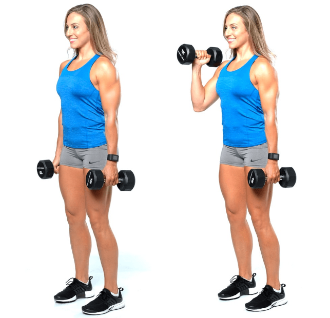 Hammer curls: Bài tập phát triển bắp tay to, săn chắc 4