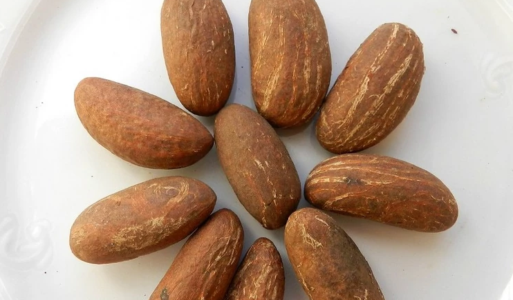 Hạt cola mang lại nhiều lợi ích cho sức khỏe 3