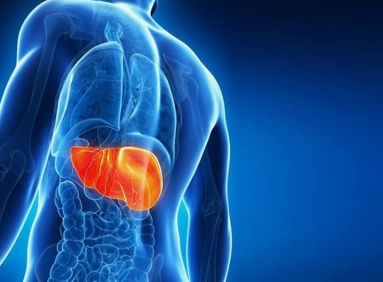 Hiến máu có tốt không​? 8 lợi ích của hiến máu​ nhân đạo đối với sức khỏe có thể bạn chưa biết 2