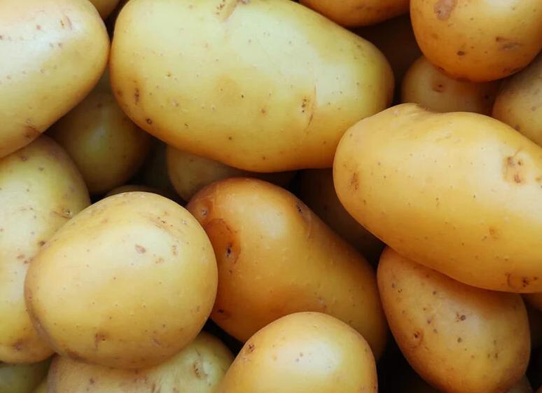 Khoai tây là gì? Công dụng của khoai tây đối với sức khỏe và lưu ý khi ăn 1