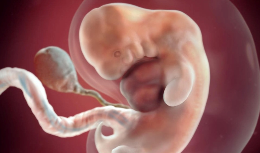 Mách mẹ cách nhận biết dấu hiệu thai 6 tuần khỏe mạnh 1