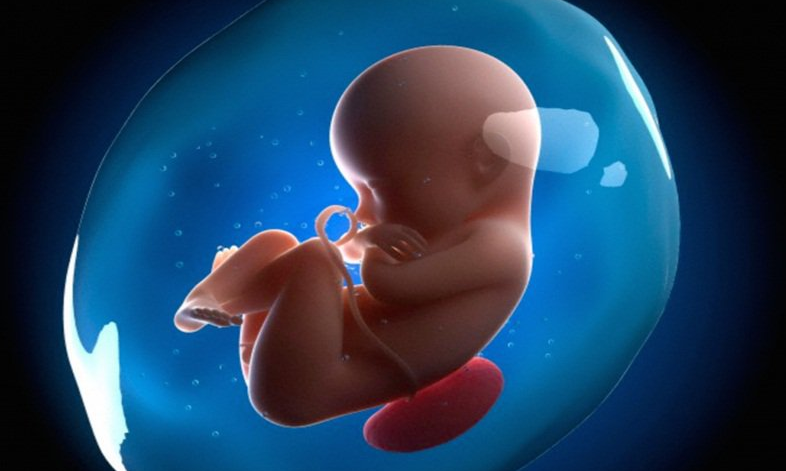 Mốc phát triển ngôn ngữ của trẻ mà ba mẹ không nên bỏ qua 1