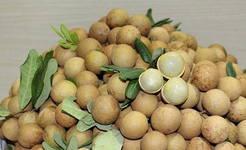 Nhãn xuồng giòn, rất ngọt, mọng nước lại tốt cho sức khỏe 1