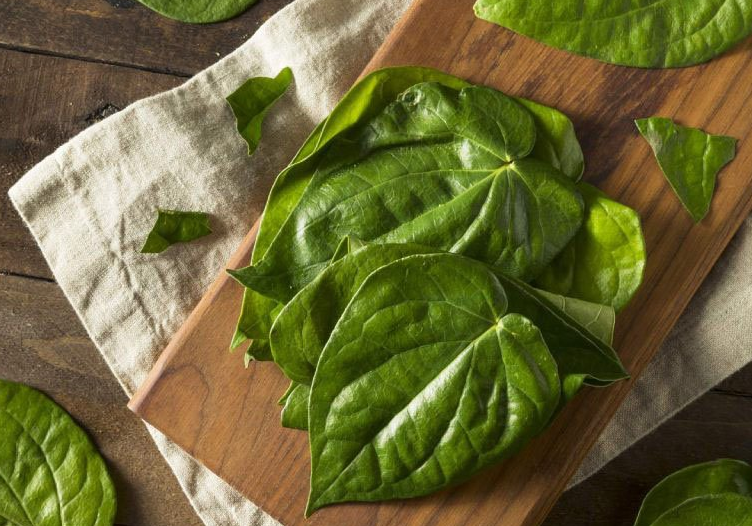 Những phương pháp triệt lông bằng thảo dược đơn giản tại nhà 2