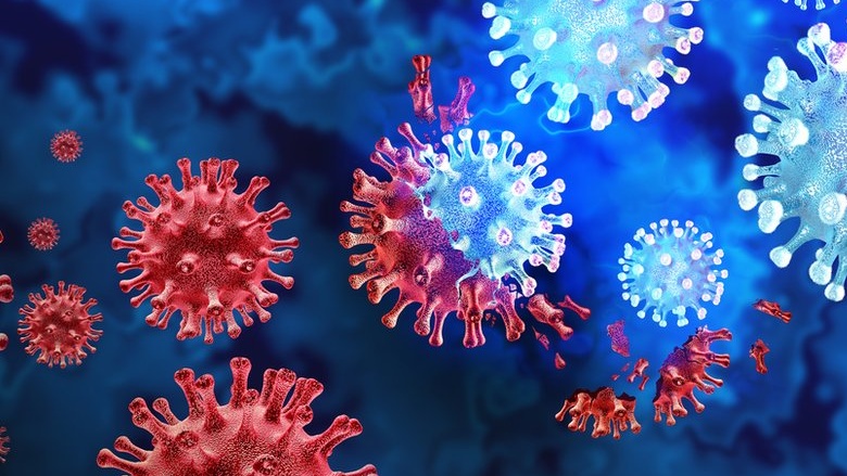 Những thông tin liên quan đến câu hỏi: Bị covid uống rượu bia có sao không? 1