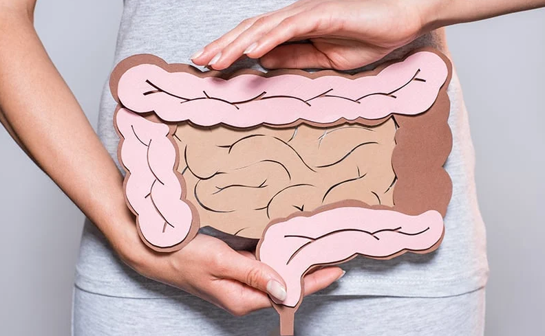 Ốc núi: Thành phần dinh dưỡng và những lợi ích sức khỏe 2