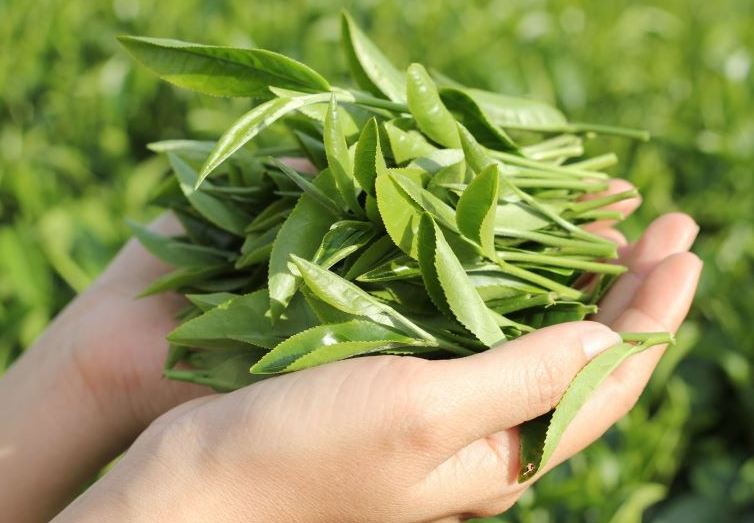 Phương pháp điều trị viêm lộ tuyến cổ tử cung 2