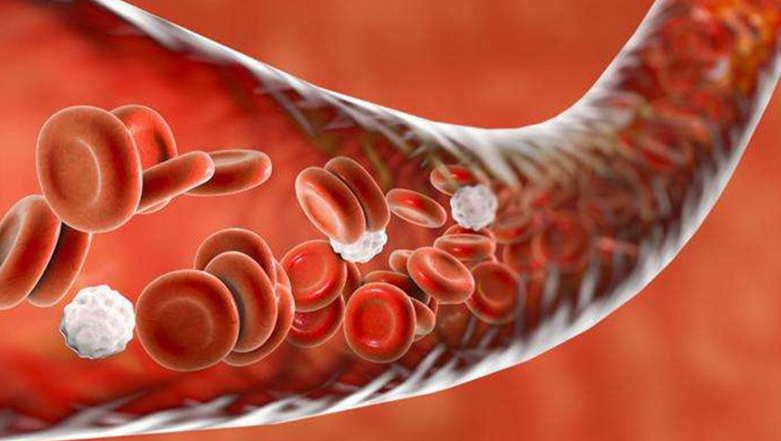 Shigella gây bệnh gì? Cách điều trị và phòng ngừa nhiễm bệnh 1