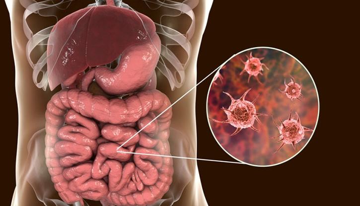 bai-viet/shigella-gay-benh-gi-cach-dieu-tri-va-phong-ngua-nhiem-benh.html 2