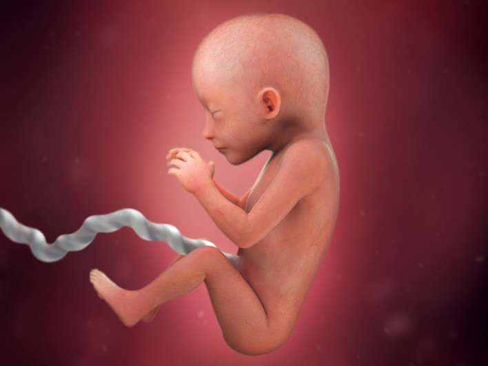 Siêu âm con gái hay khép chân có đúng không? 1