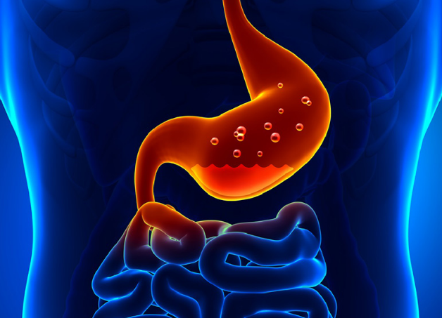 Siêu âm nội soi dạ dày là gì? Khi nào cần đến phương pháp này? 2