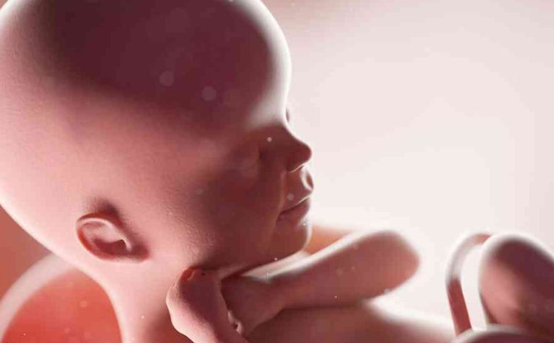 Siêu âm thai nhi mũi tẹt và mối liên hệ với hội chứng Down 3