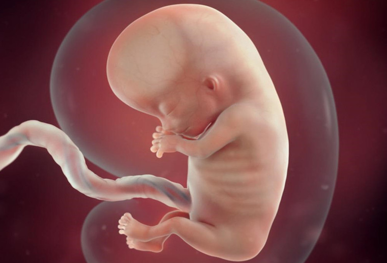 Thai 37 tuần bị suy dinh dưỡng phải làm sao? 1