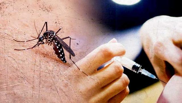 Tiêm phòng sốt xuất huyết ở Cà Mau: Các địa chỉ tiêm uy tín, an toàn và hiệu quả bạn cần biết 2