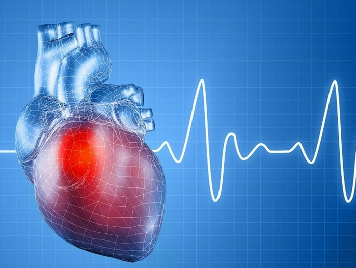 Tim đập mạnh: Nguyên nhân, triệu chứng, cách khắc phục 1