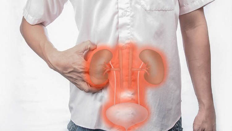 Tỳ thận dương hư là gì? Triệu chứng, cách điều trị và phòng tránh? 1