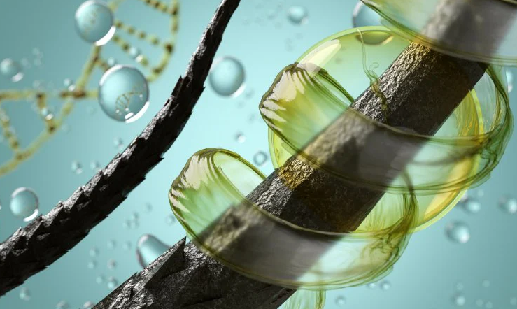 Ủ tóc bằng quả đậu bắp để có mái tóc chắc khỏe 1