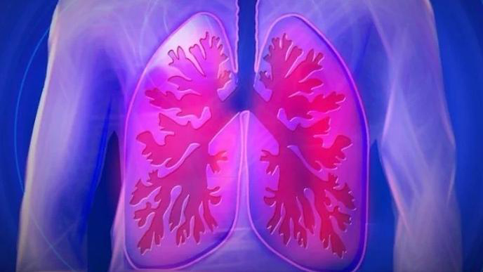 Ung thư phổi có ăn được sâm không? Lưu ý quan trọng khi sử dụng nhân sâm 4