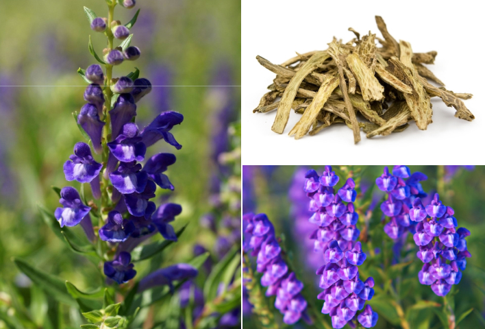 Baifem K có dùng được cho trẻ sơ sinh không? Những điều cần biết 2