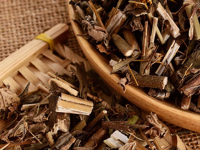 bại tương thảo dược liệu