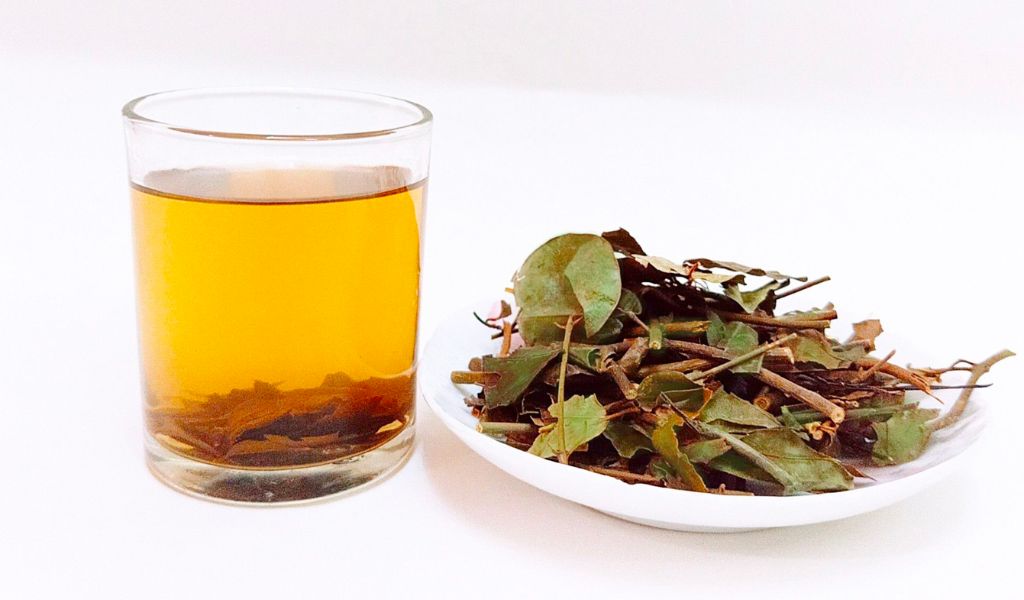 Bạn đã biết các tác hại của chè vằng để phòng tránh chưa? 1