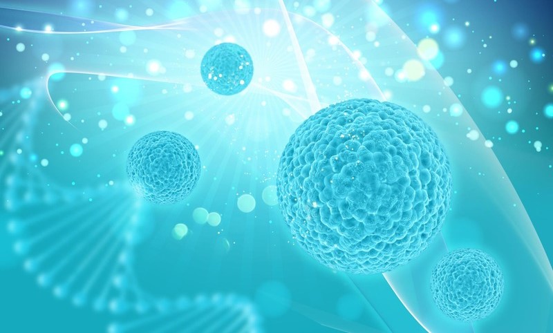 Bạn đã biết công dụng của Vitamin A trong việc giảm nếp nhăn và ngăn ngừa mụn chưa? 2