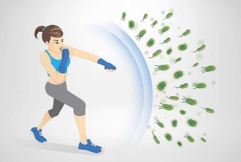 Vitamin B13 và những điều có thể bạn chưa biết 2