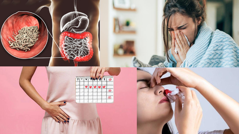 Ban lá dính: Đặc điểm sinh học, dược tính và một số bài thuốc hay 3