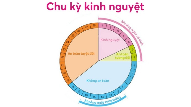 bang-tinh-chu-ky-kinh-nguyet-va-thoi-diem-rung-trung 2.jpg