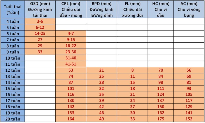 bao-thai-6-tuan-kich-thuoc-bao-nhieu 2.jpg