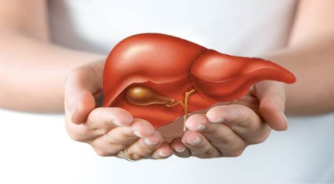 Bảo vệ gan tốt hơn với viên uống Ocavill 2