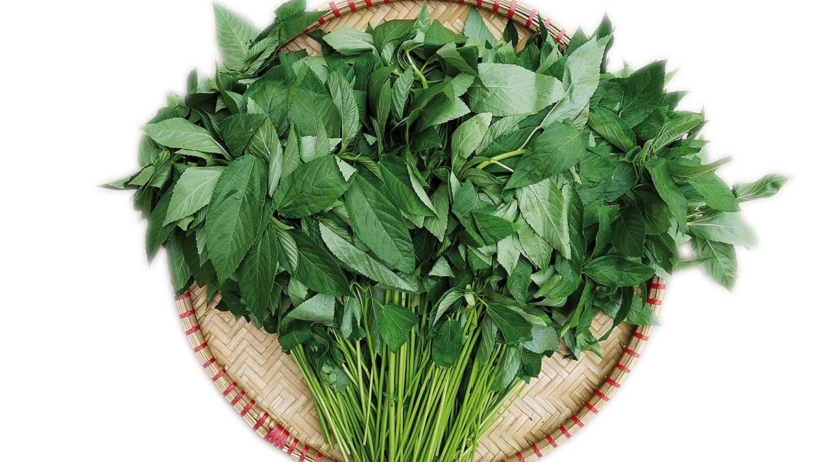 Bầu ăn rau đay được không? Lợi ích của rau đay với sức khỏe
