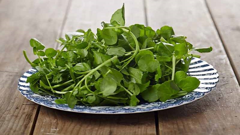 Bé 7 tháng tuổi có ăn được rau cải xoong không? 1