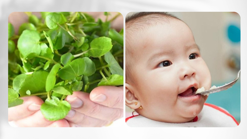 Bé 7 tháng tuổi có ăn được rau cải xoong không? 2