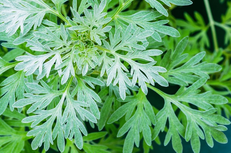 Bệnh gai cột sống là gì? Bị gai cột sống có chữa được không? 3