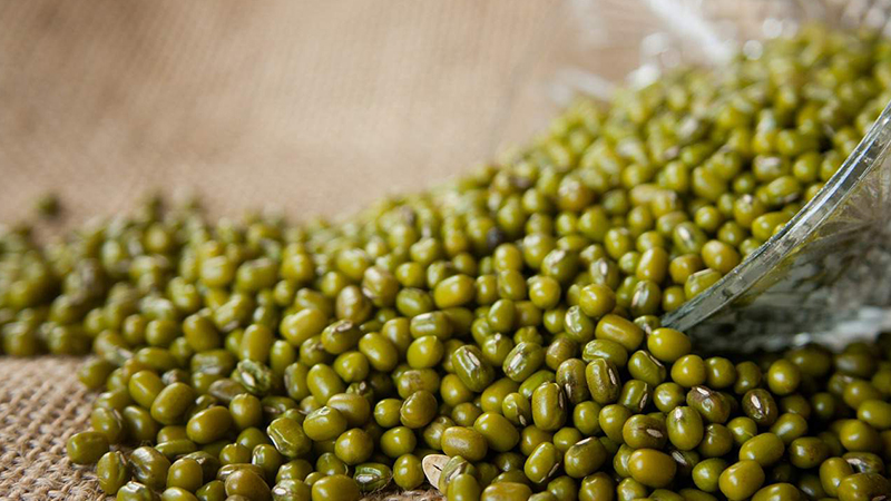 Bệnh giời leo có để lại sẹo không? Cách phòng ngừa và điều trị hiệu quả 3