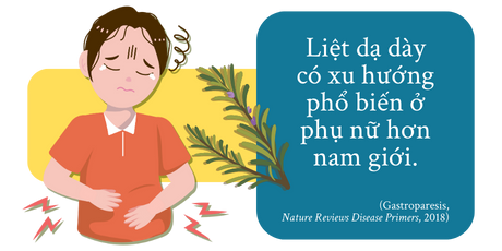 Bệnh liệt dạ dày: Khi dạ dày “ngủ quên” và hành trình tìm lại cảm giác no đúng nghĩa 2