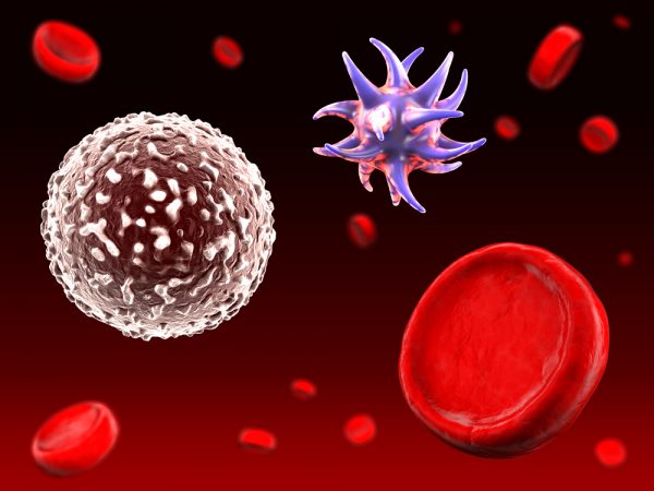 Bệnh nhiễm trùng máu giai đoạn cuối nguy hiểm như thế nào?-1