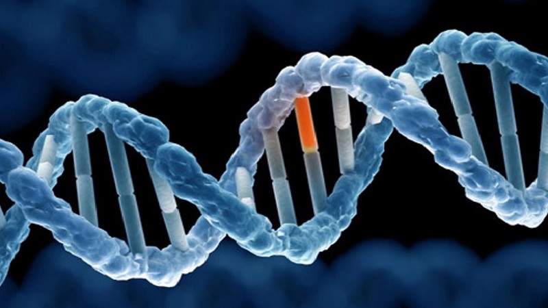 Bệnh teo cơ tủy sống ở trẻ em: Dấu hiệu, phân loại và giải pháp 2