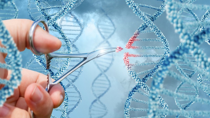 Bệnh teo cơ tủy sống ở trẻ em: Dấu hiệu, phân loại và giải pháp 4