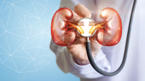 Bệnh viêm cầu thận là gì? Viêm cầu thận có chữa được không?